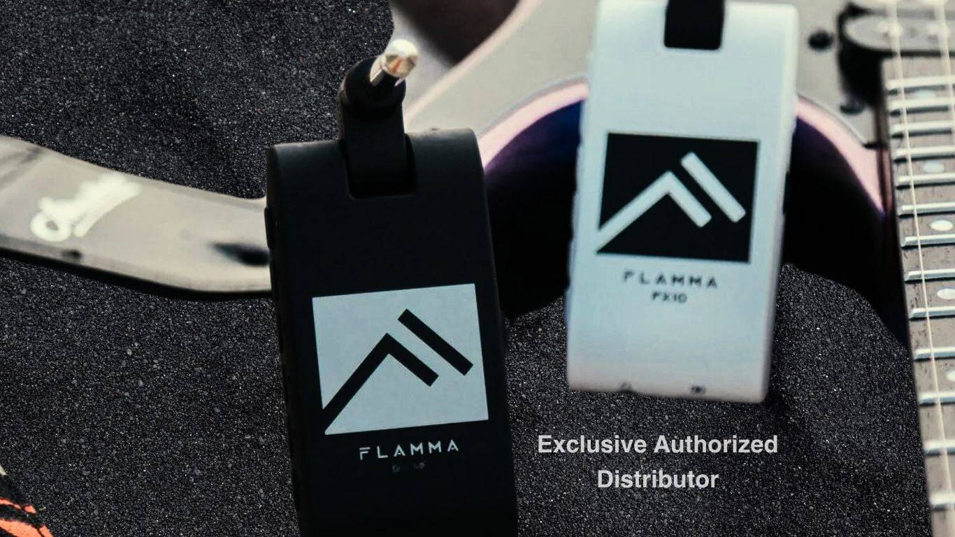 Best Music Store In Nepal 14 Flamma