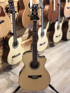 Crafter TC-035e /N Semi-Acoustic Guitar With Padded Gig Bag