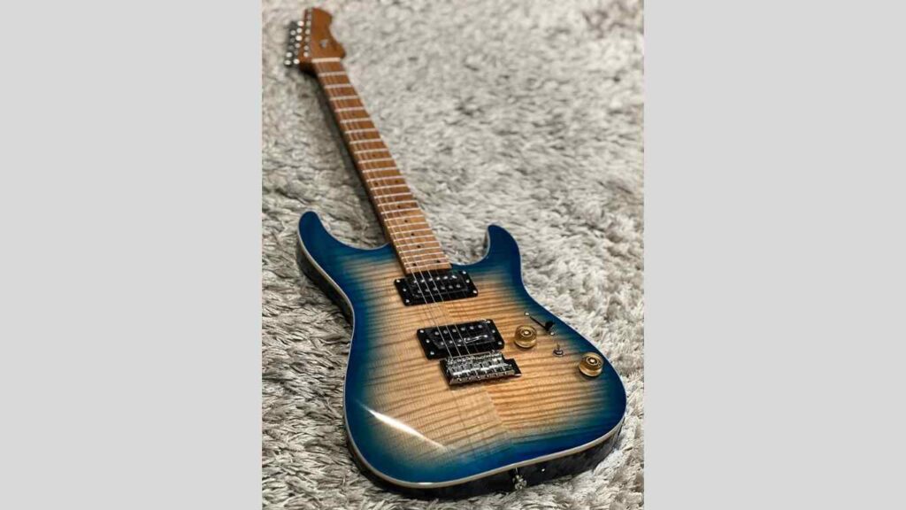 SQOE Guitar In Nepal