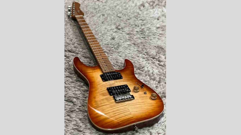 SQOE Guitar In Nepal