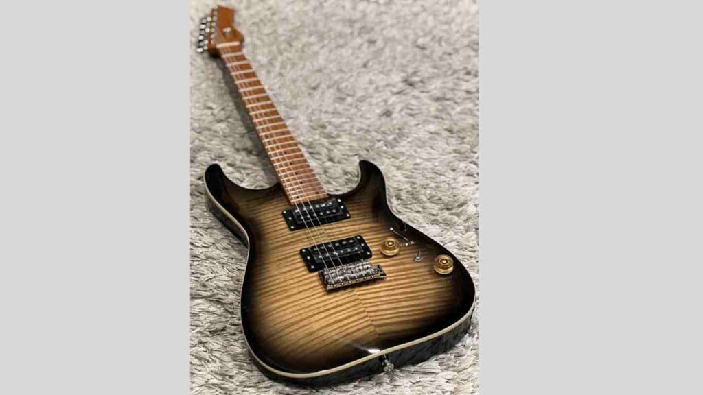 SQOE Guitar In Nepal