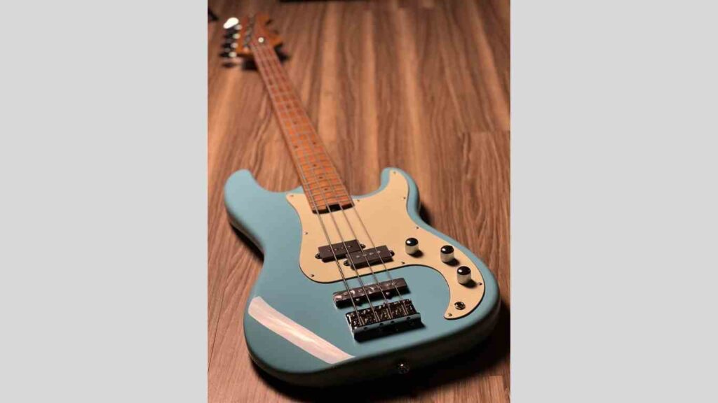 SQOE Guitar In Nepal