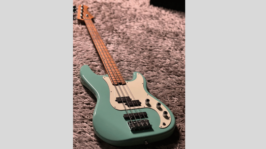 SQOE Guitar In Nepal