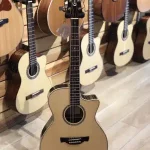Crafter TC-035e /N Semi-Acoustic Guitar With Padded Gig Bag