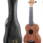 Enya EUS20 21 inch Soprano Ukulele Guitar with PU Leather Bag