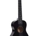 Enya Kaka 24 Inch Concert Ukulele With Waterproof Bag (Black)