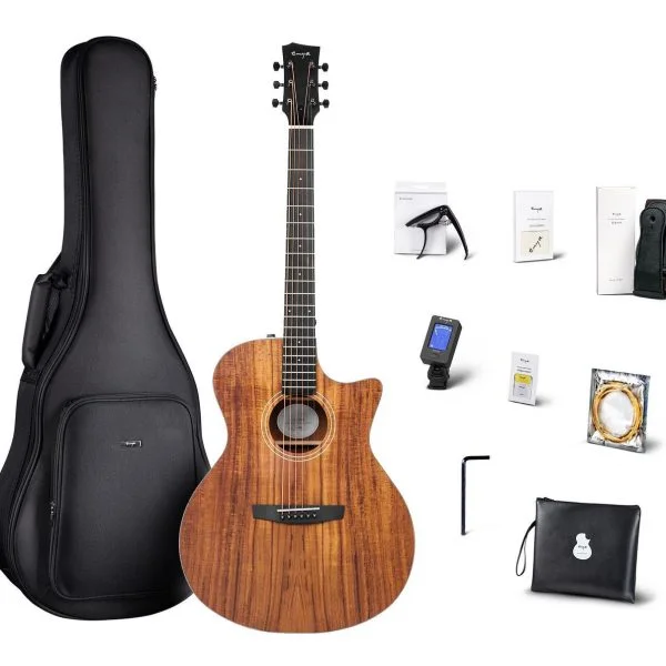 best guitar in nepal