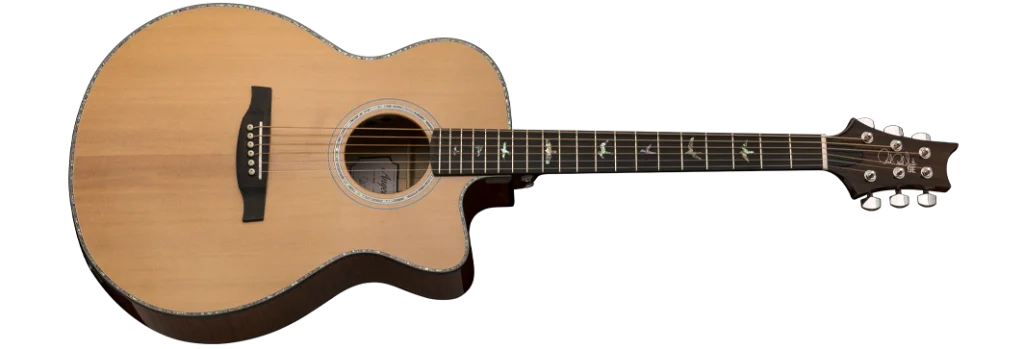 Acoustic Guitar Price in Nepal