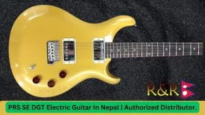 PRS SE DGT Electric Guitar In Nepal | Authorized Distributor.