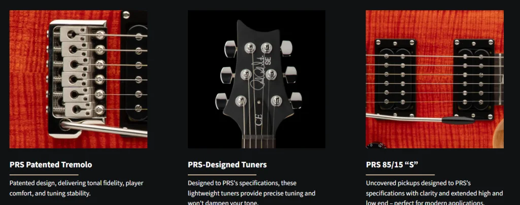 PRS SE CE 24 In Nepal