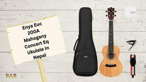 Enya Euc 200A Mahogany