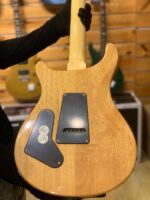 PRS SE Custom 24 Electric Guitar Limited Edition [Trampas Green] - Image 6
