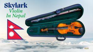 violin price in nepal