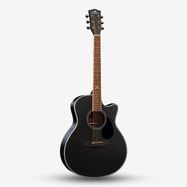 Kepma A1C Guitar