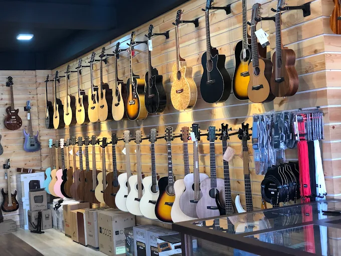 Guitar