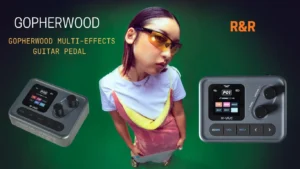Gopherwood Multi-Effects Guitar Pedal In Nepal