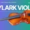 Best violin price in Nepal
