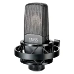 Takstar TAK55 Professional Recording Microphone