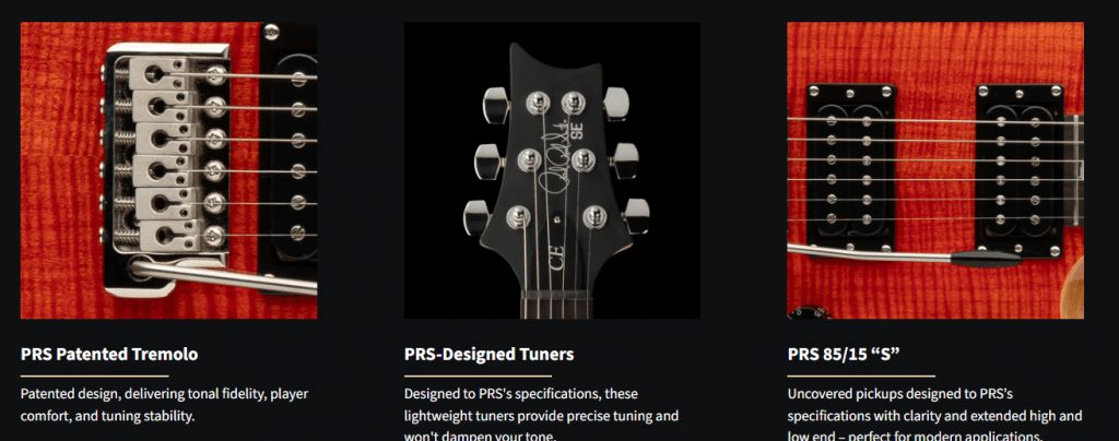 PRS SE CE 24 In Nepal