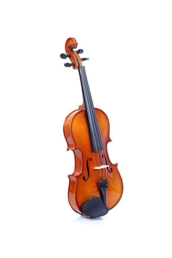 SKYLARK violin price in Nepal